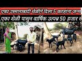उस्मानाबादी शेळीने दिला 5 करडांना जन्म,एका शेळी पासुन वार्षिक उत्पन्न 50 हजार रु:goat farming: