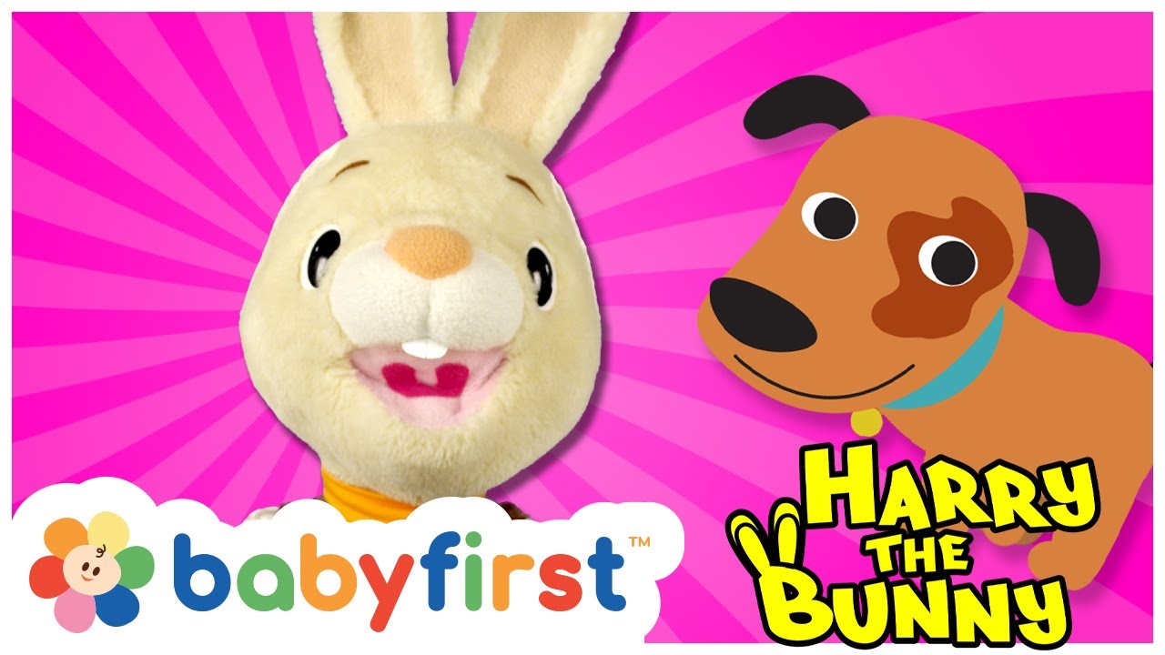 Harry The Bunny | Educational Learning Videos for Toddlers & Babies ...