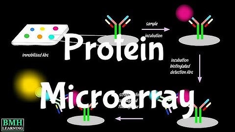 Protein Microarray | Protein Arrays | Protein Biochips |
