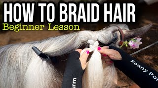 3 Strand Braid Tutorial Step by Step for BEGINNERS 