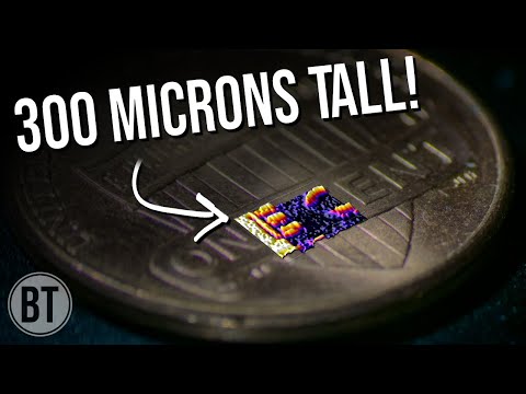 فيديو: كيف يعمل المجهر المتحد البؤر المسح بالليزر؟