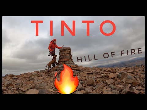 Tinto Hill Of Fire