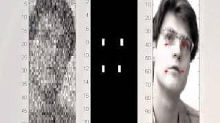 Facial Feature Detection_Noise.avi