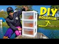 DIY Plastic Drawer Aquarium Catching Exotic Pet Fish