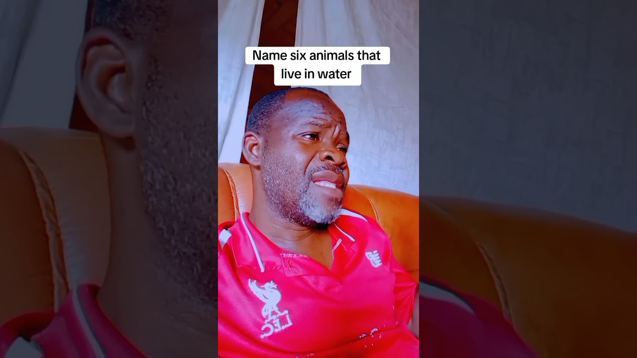 Watch Name six animals that live in water on YouTube Watch Name six animals that live in water on YouTube