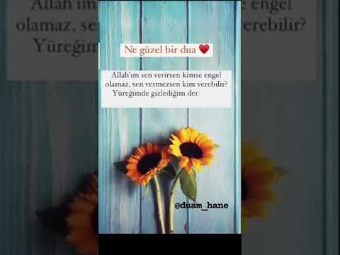 DİNÎ KISA VİDEO | WhatsApp durum videoları #şifahane #dinisözler #güzelsözler #damarsözler