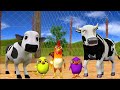 El pollito y el Tractor de la Granja de Zenón de la Vaca Toro y del Pollito la