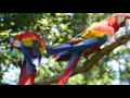 Documental Parque Nacional Canaima