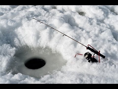 Vídeo: Como Está A Pesca No Gelo