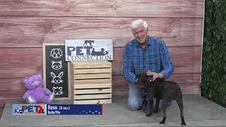 Pet Connection Boss 6-20-25