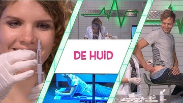 RACHEL SNIJDT IN ELBERTS BIL?! ALS DAT MAAR GOED GAAT... - TOPDOKS LABEXPERIMENT