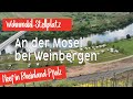 Wohnmobil stellplatz an der mosel und weinberge  neef in rheinlandpfalz  camping mit hund