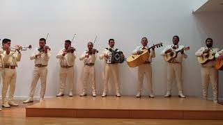 Video thumbnail of "La Marcha de Zacatecas"