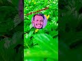 সুন্দর একটি স্ট্যান্ড ভিডিও #youtube #shortvideo #standvideo