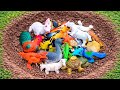 Menemukan Dan Mengumpulkan Mainan Hewan, Sapi, Kerbau, Gajah, Domba, Buaya, Ayam, Bebek, Ikan 