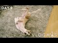 Doggy Tricks! | Vlogmas Day 9