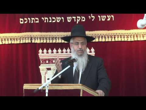 אמירה לגוי חלק א | הלכות שבת | הרב יורם סרי