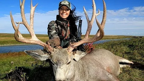 KELSY'S GIANT ARCHERY MULE DEER! 212"!
