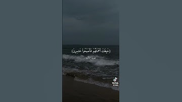 سورة المائدة اسلام صبحي 💞