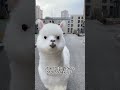 アルパカの逆襲! #日本エンタメ