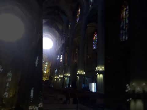 Inside Catedral Palma de Mallorca