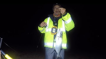 First time fishing at  night Wollongong Beach what are the fish can  catch ##beachfishing 