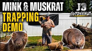 Mink & Muskrat Fur Trapping Sets Demo - J3 Outdoorz