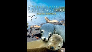 Watch Fascination Galapagos 3D Trailer