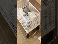 £17 Under-Bed Storage Box with Wheels – Space Saver