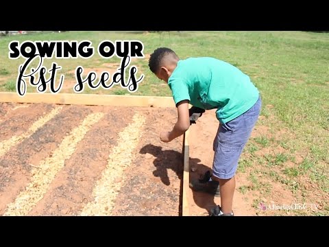 SOWING OUR FIRST SEEDS VLOG | EP. 5 GREEN BEANS, SNAP PEAS, SWISS CHARD