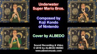 Underwater from Super Mario Bros. Recorder Quartet. ALBEDO Nintendo Covers.