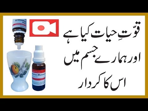 Quwwat e Hiyaat kya hey aor is ka hamary jisam kirdaar, H.Dr. Nusrat Iqbal