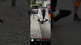 Là Một Thằng Đàn Ông Phải Biết Yêu Thương Che Chở Bảo Vệ Gia Đình Mình.