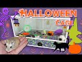 🎃 Halloween Hamster Cage Tour 2019 | Munchie's Place