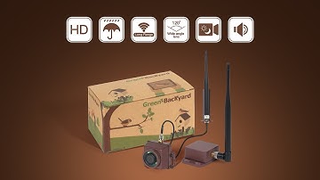 How to setup Long Range Wireless bird box camera