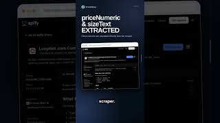 LoopNet Commercial Real Estate Scraper