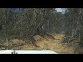 Defender off road old Toolangi road