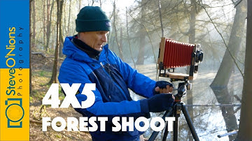 Landscape Film Photography - Large Format Forest Shoot
