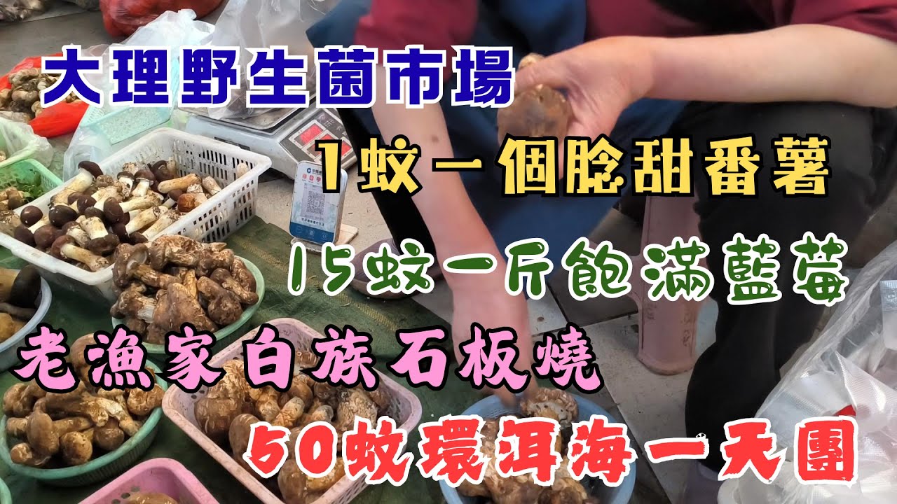 87【雲南旅遊四】😮大理野生菌市場 👍腍甜番薯 👍飽滿藍莓 😋老漁家白族石板燒 🤩洪武路洱海門