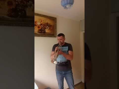 Гуцулка Ксеня Trumpet Cover