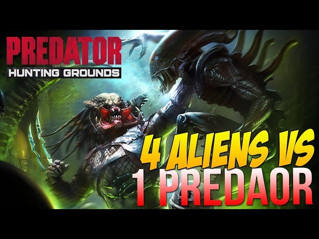 Predator Hunting Grounds 