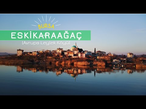 Bursa, Eskikaraağaç (Avrupa Leylek Köyü) | Drone [HD]