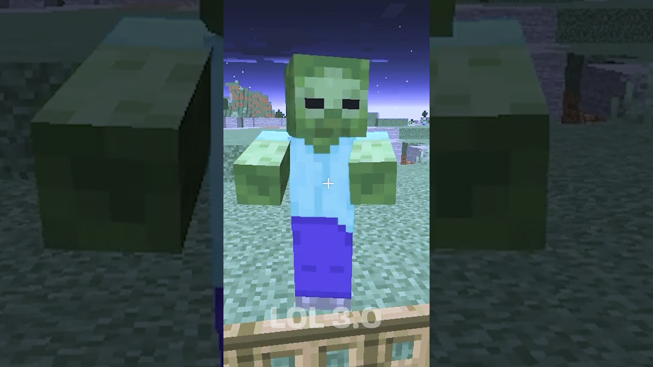 Minecraft