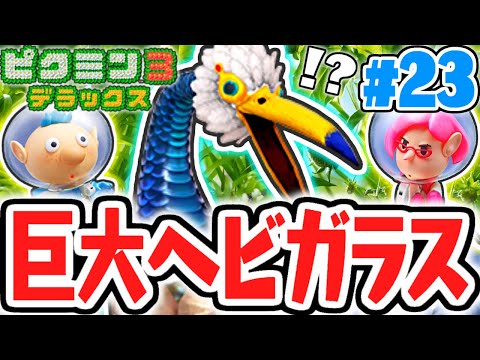 大量のピクミンが食べられちゃう!?ヘビガラスを倒せ!!デラックスな最速実況Part23【ピクミン3 デラックス】