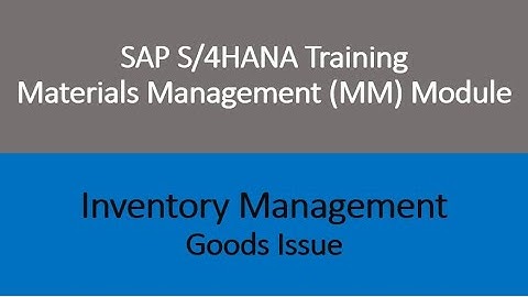Video 24 - SAP S/4HANA Materials Management (MM) training - Inventory Management - Goods Issue