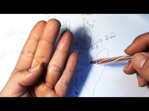 Video Cách dự đoán sự việc cát hung, Sử dụng bàn tay bấm độn... - youtube