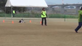 20151107 　６．招呼