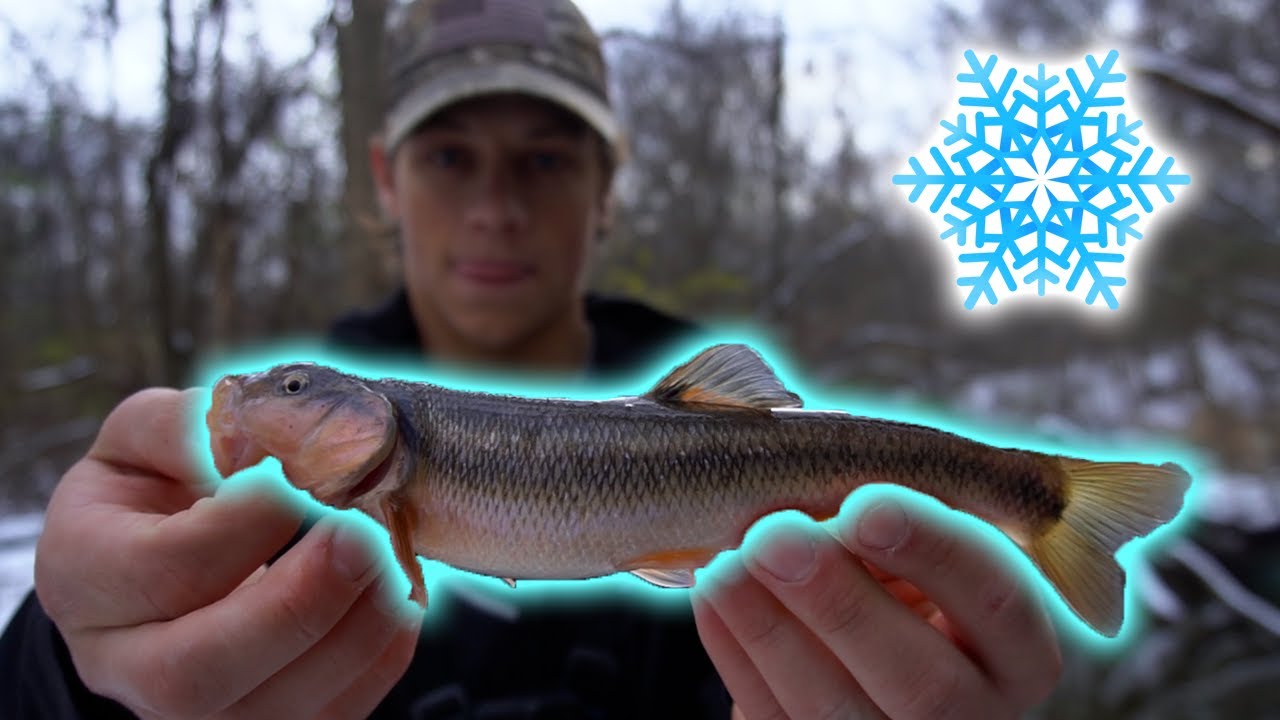 Backwoods Creek Fishing in the SNOW!!