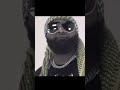 Cfn premiere- I know yall can relate #reels #fyp #traphiphop  #artist #undergroundhiphop