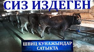 Жакшы уйлардан жетишип алып калыңыз